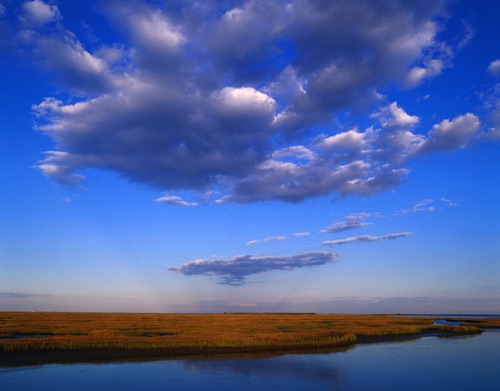 Brigantine National Wildlife Refuge, Atlantic County, NJ (MF).jpg Brigantine National Wildlife Refuge, Atlantic County, NJ (MF).jpg
